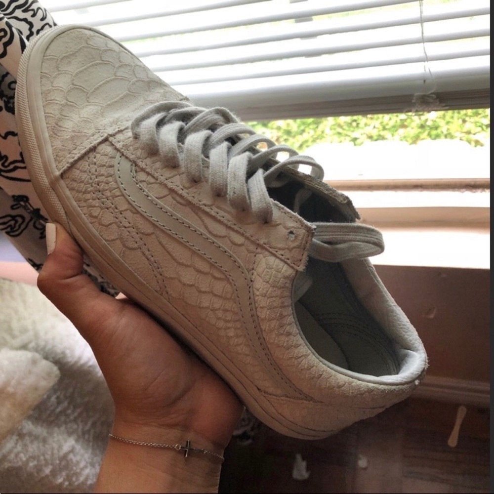 Crocodile Vans